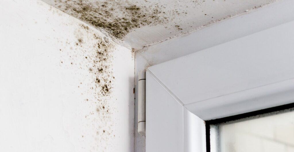 mold and moisture problems